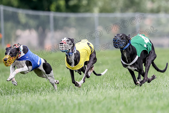 Program 2 Race 1, Nathalia Chuck Axl Stella Zen-0478