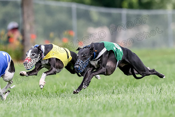 Program 2 Race 1, Nathalia Chuck Axl Stella Zen-0480