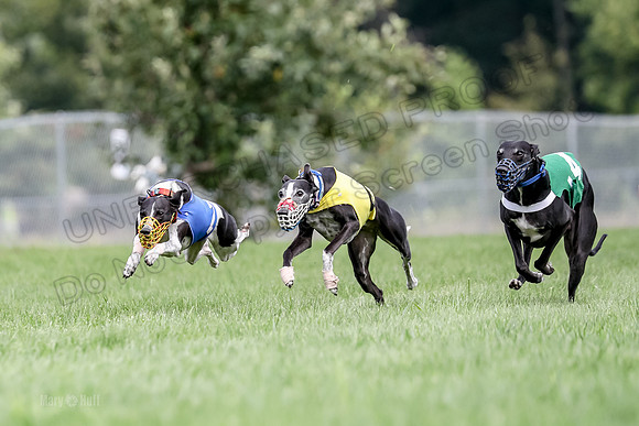 Program 2 Race 1, Nathalia Chuck Axl Stella Zen-0471-2