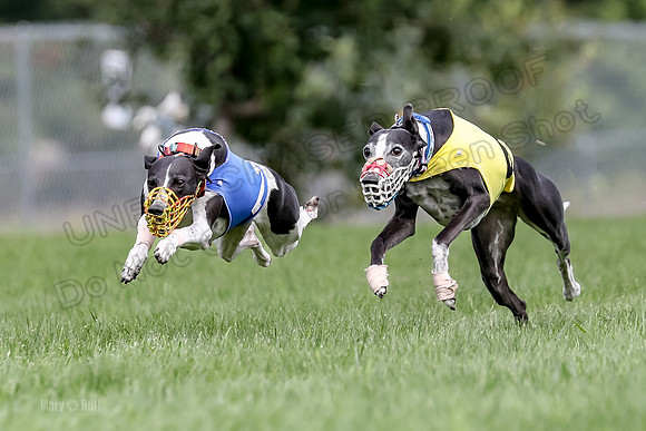 Program 2 Race 1, Nathalia Chuck Axl Stella Zen-0471