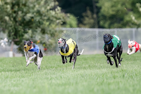Program 2 Race 1, Nathalia Chuck Axl Stella Zen-0470