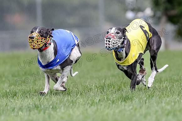 Program 2 Race 1, Nathalia Chuck Axl Stella Zen-0473