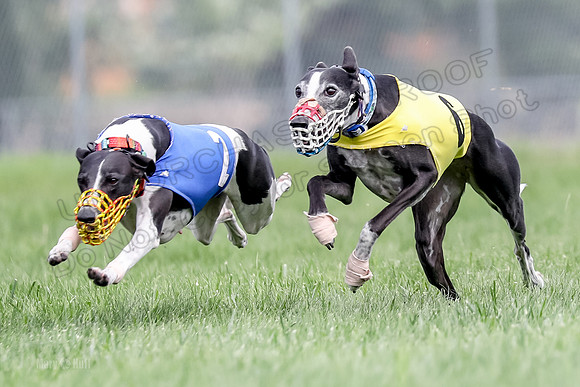 Program 2 Race 1, Nathalia Chuck Axl Stella Zen-0475
