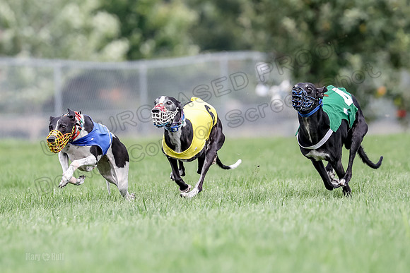 Program 2 Race 1, Nathalia Chuck Axl Stella Zen-0474