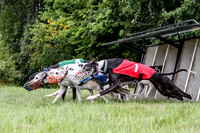 Program 3 Race 1, Zen Nathalia Stella Axl-0952