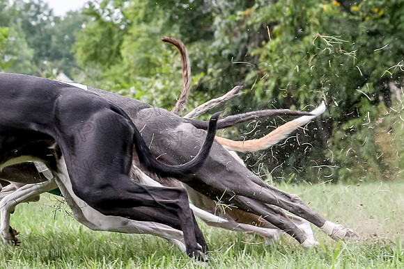 Program 3 Race 4, Julian Addie Sting Rosie Ullr Halford-1009