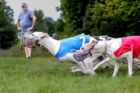 Program 3 Race 2, Seeker Ready Chuck Blaze Denim Devo-0973