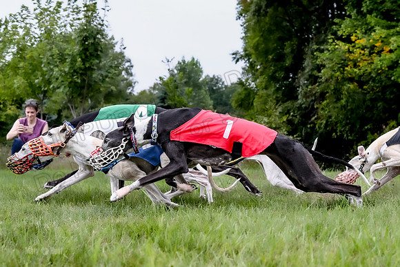 Program 3 Race 1, Zen Nathalia Stella Axl-0955