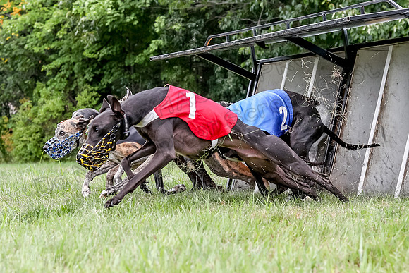 Program 3 Race 3, SidD Bolty Charlotte Valleri Meatloaf Bogie-0990