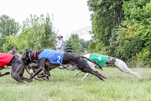 Program 3 Race 3, SidD Bolty Charlotte Valleri Meatloaf Bogie-0995