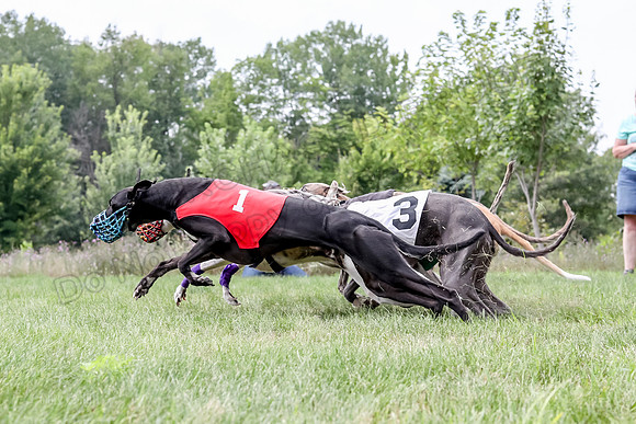 Program 3 Race 4, Julian Addie Sting Rosie Ullr Halford-1011