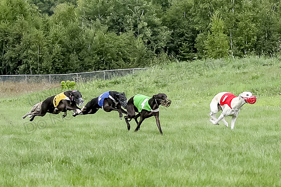 Program 4 Race 2, Devo Axl Sid Charlotte Bolty-1036