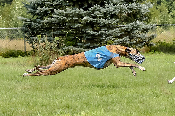 Program 4 Race 4, Ullr Meatloaf Addie Julian Rosie Halford-1090