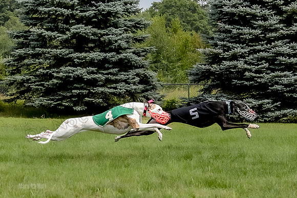 Program 4 Race 1, Nathalia Chuck Denim Gambit Zen Seeker-1028