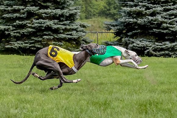 Program 4 Race 3, Valleri Blaze Ready Bogie Sting-1069-2