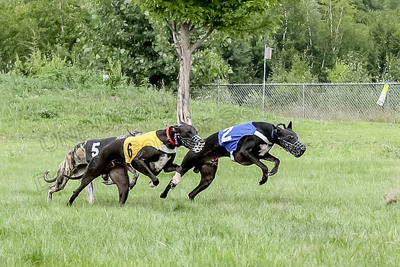 Program 4 Race 2, Devo Axl Sid Charlotte Bolty-1043-2