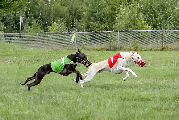 Program 4 Race 2, Devo Axl Sid Charlotte Bolty-1042