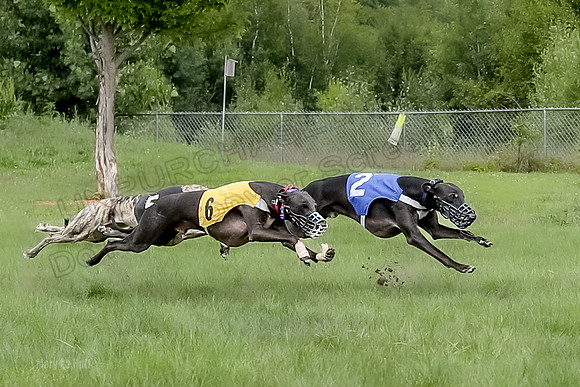 Program 4 Race 2, Devo Axl Sid Charlotte Bolty-1044