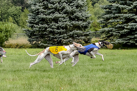 Program 4 Race 1, Nathalia Chuck Denim Gambit Zen Seeker-1024-2