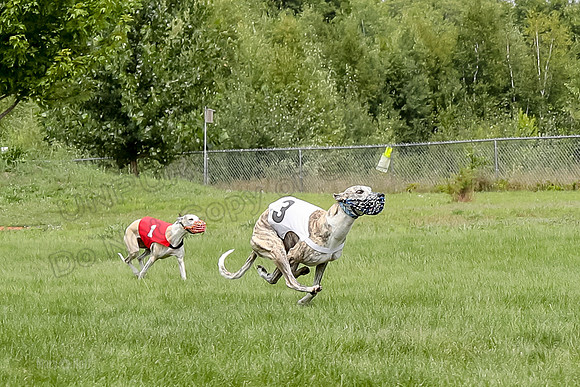 Program 4 Race 1, Nathalia Chuck Denim Gambit Zen Seeker-1023-2