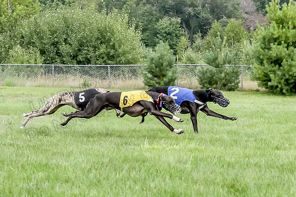 Program 4 Race 2, Devo Axl Sid Charlotte Bolty-1048