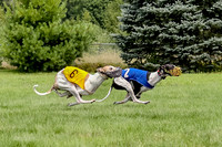 Program 4 Race 1, Nathalia Chuck Denim Gambit Zen Seeker-1023