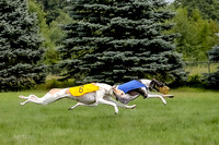 Program 4 Race 1, Nathalia Chuck Denim Gambit Zen Seeker-1025-2
