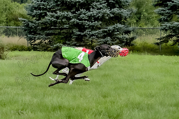 Program 4 Race 2, Devo Axl Sid Charlotte Bolty-1048-2