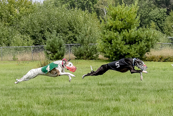 Program 4 Race 1, Nathalia Chuck Denim Gambit Zen Seeker-1024