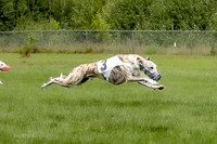Program 4 Race 1, Nathalia Chuck Denim Gambit Zen Seeker-1025