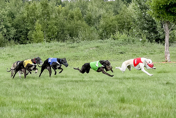Program 4 Race 2, Devo Axl Sid Charlotte Bolty-1039