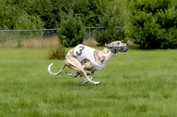 Program 4 Race 1, Nathalia Chuck Denim Gambit Zen Seeker-1027