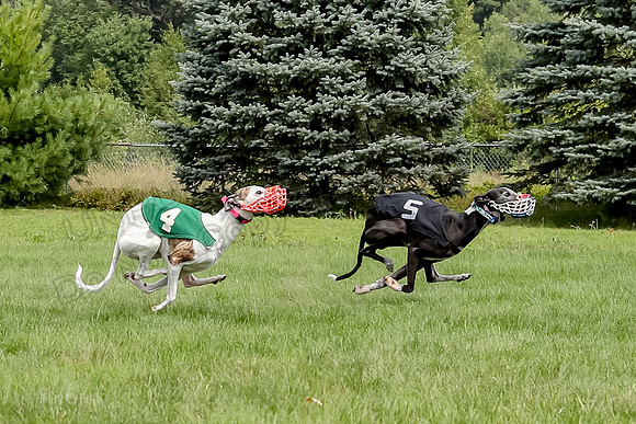 Program 4 Race 1, Nathalia Chuck Denim Gambit Zen Seeker-1026