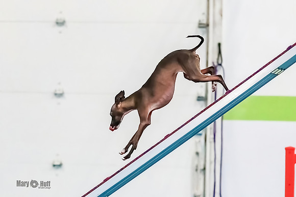 AE4I0983