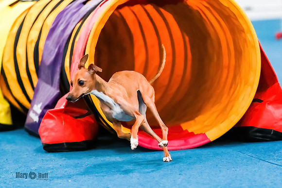 AE4I1336