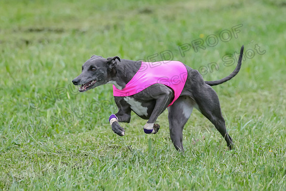 Prelim Open E4, Sassy Sneakers-5066