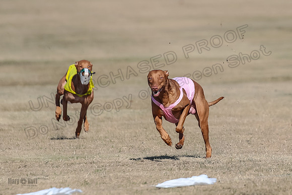 Finals Spec 1 Tango Cayber-1786