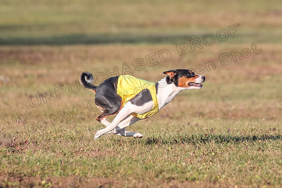 AE4I4943