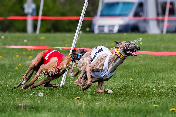 NOTRA Program 2, Race 8, Stoke Nami Nika Eddie-2-3