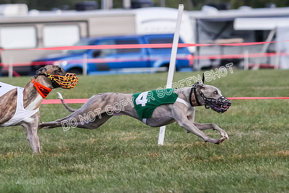 Prg 1, race 7, Cutter Dazzle Mika Rory-0719