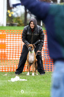 MCH70443