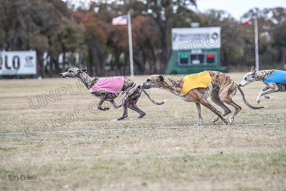 Finals Open 1 Steel Maverick Eggsy-3841