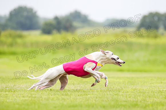 Finals Fch-Vet 1, Huxley Flare-1668
