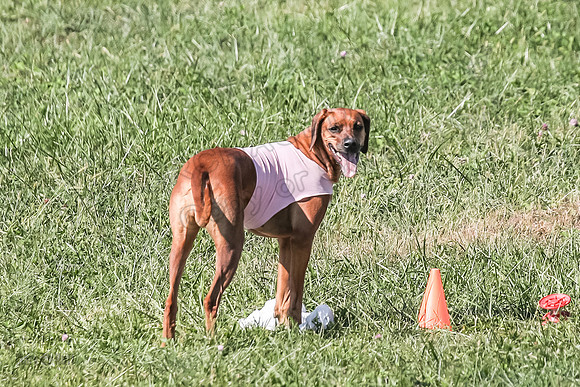 AE4I9641