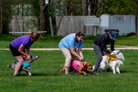 _E4I7675