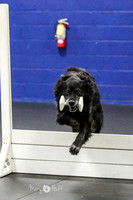 MCH52504