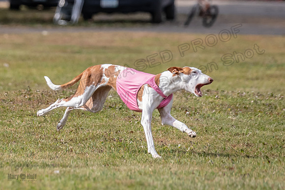 Finals Fch 1 Penny Jadis Madyson-3083