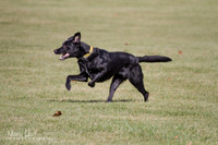 IMG_0049