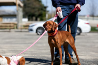 MCH54379