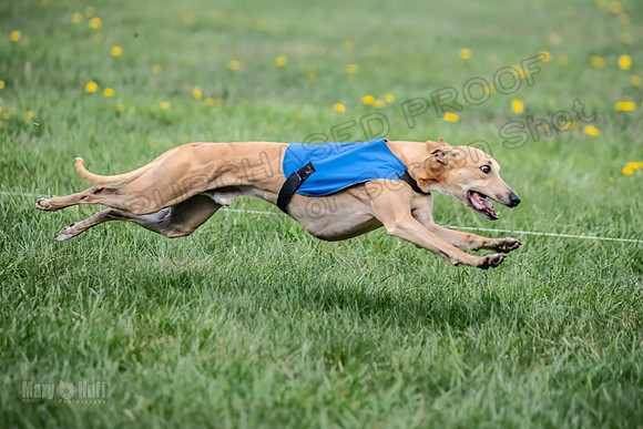 1 Prelim FCh A2 Keegan Really Rush-6658